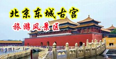 大鸡巴操小骚穴的视频中国北京-东城古宫旅游风景区